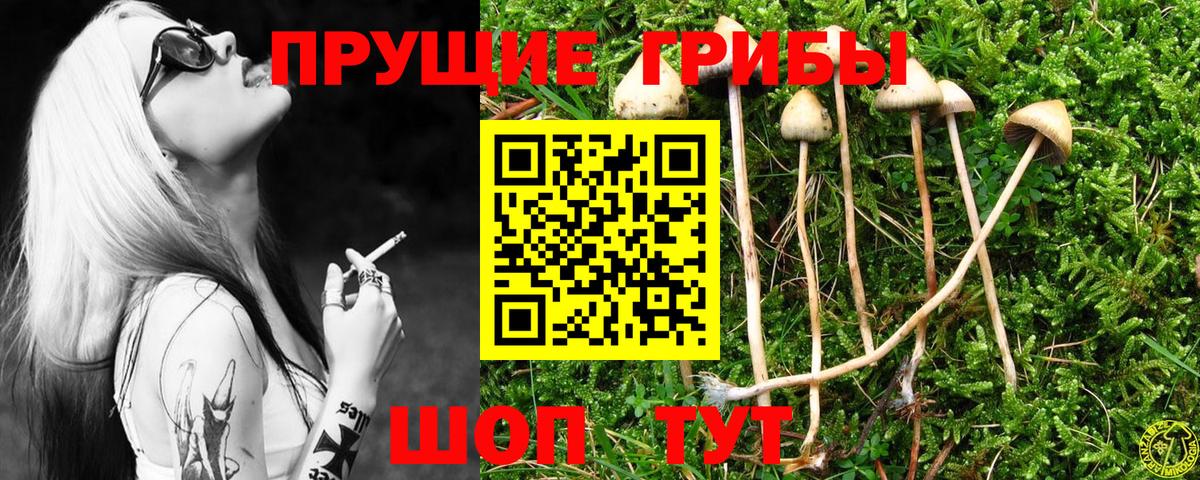 Псилоцибиновые грибы ЛСД Уварово